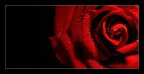 dal nero al rosso