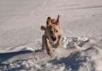 neve che passione
