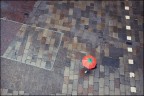 2016042410 Padova