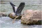 In volo.