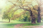 villa borghese roma