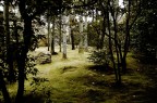 kyoto