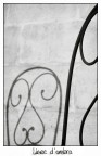 Linee d'ombra