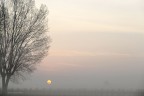 alba correggese