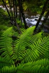 Alcune zone dell'entro terra calabrese, ti riportano nella preistoria. Dei veri e propri paradisi naturali