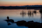 Lago di Varese.