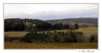 Colline!
