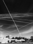 I pascoli del cielo