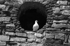 Editing with Gimp 2.8