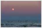 Luna amica mia...