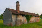 Casale