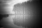 riflessioni nebbiose riflessioni nebbiose