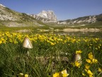 Gran Sasso