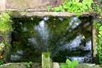 Acqua verde