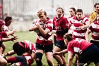 PWC Rugby Monza � Zaccanti Bologna
29 maggio 2016, Monza
Canon 7DII + Sigma 120-300mm
RawTherapee + GIMP

Secondo me da vedere su fondo bianco