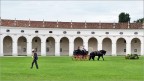 Villa Manin (UD)