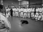 Lezioni di judo