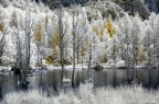 Val di Mello