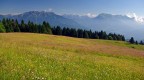 Praterie alpine