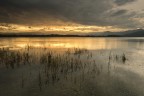 last light
