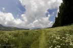Passo Fittanze