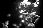 Flamb