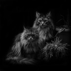 Madre e figlio Madre e figlio