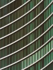Linee e curve