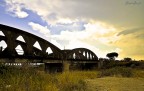 ponte