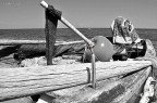 Il mare