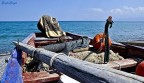 Il mare