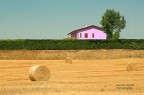 Casa nel campo
