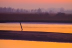 Foci dell'Adige