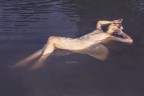Nymphaea