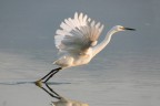 ..take-off..