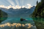 Verde Lago