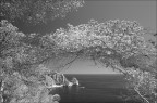 s.t. #04 082016