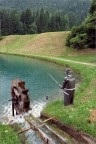 Il pescatore