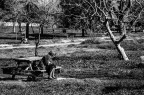 In assorta solitudine