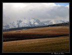 Monti innevati!