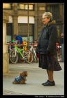 Tale cane...