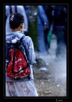 spray