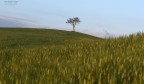 Val D'Orcia - Alba