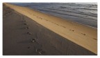 sea/sand