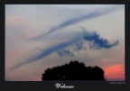 Welcome Evening