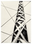 linee