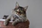 Bellissima...