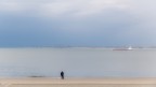 Il viandante e il suo amico