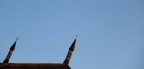 Guerre di religione