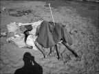 Cercando il buio